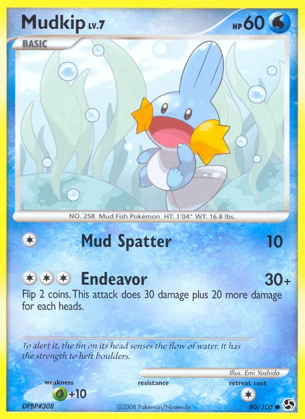 Mudkip Pokemon card