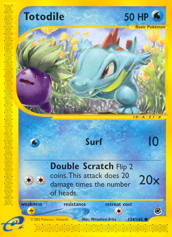 Totodile Pokemon card