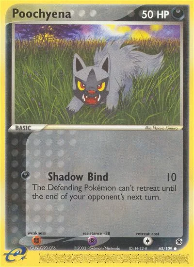 Poochyena Pokemon card