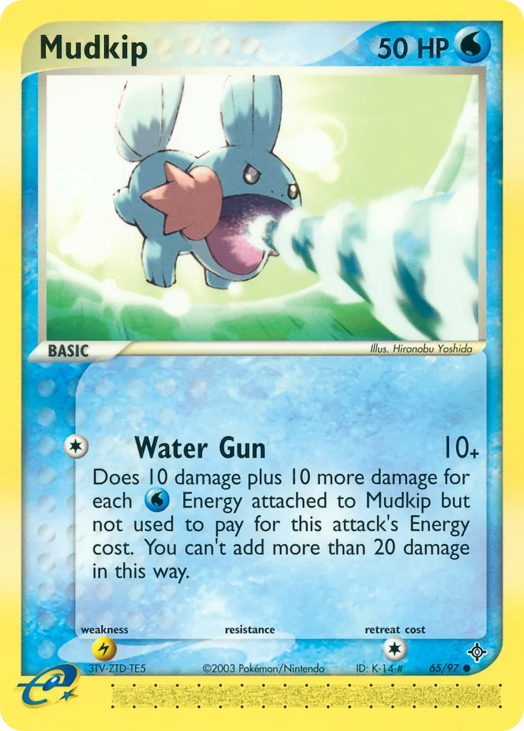 Mudkip Pokemon card