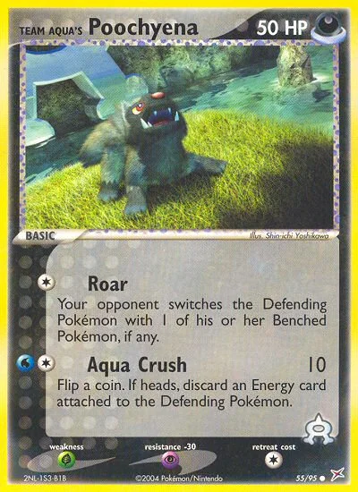 Team Aqua's Poochyena Pokemon card