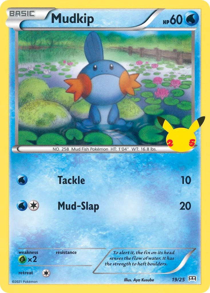 Mudkip Pokemon card