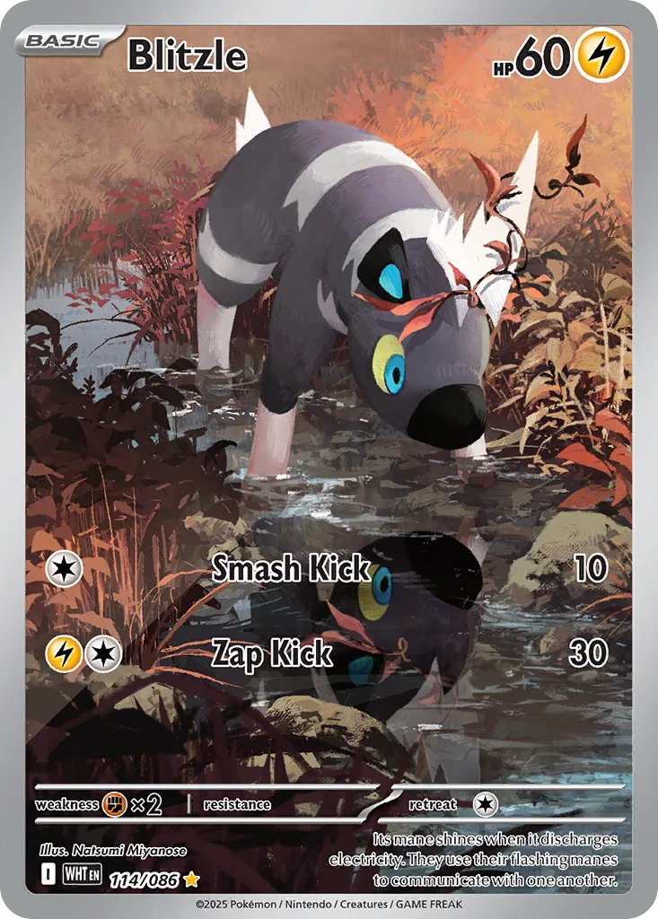 Blitzle Pokemon card
