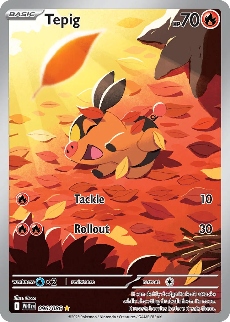 Tepig Pokemon card