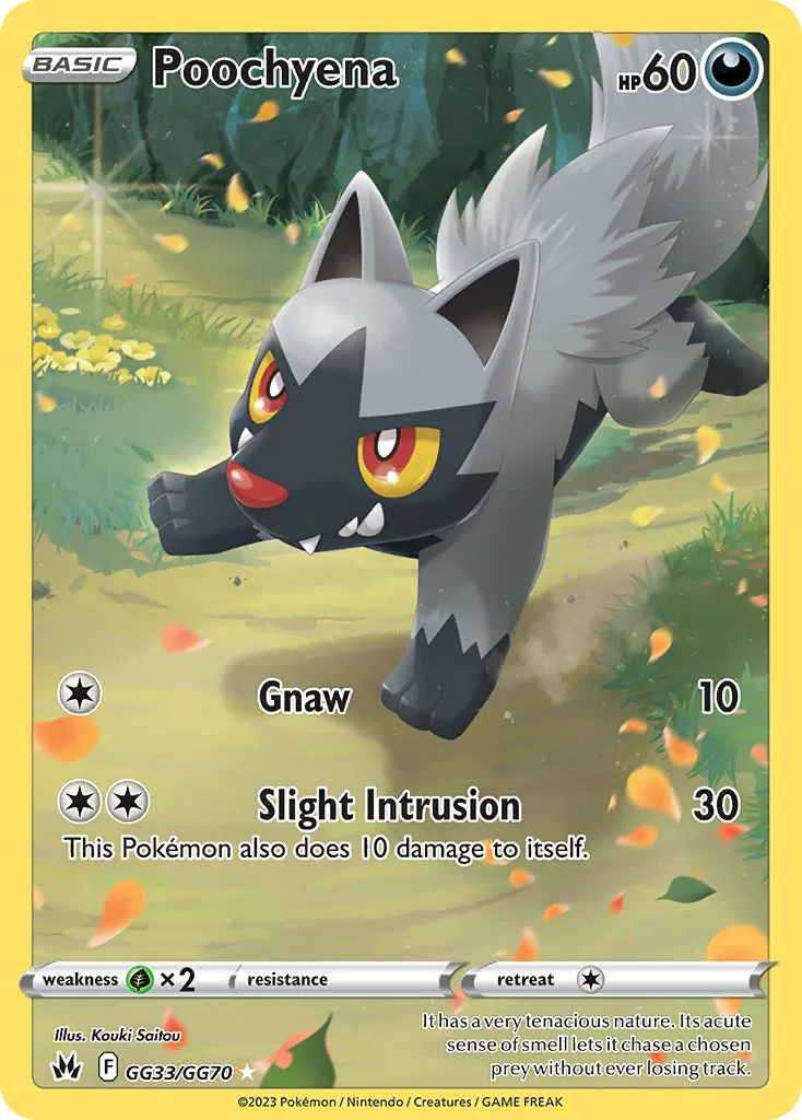 Poochyena Pokemon card