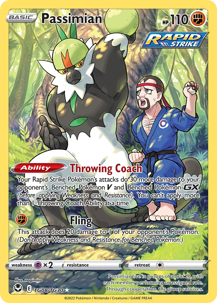 Passimian Pokemon card