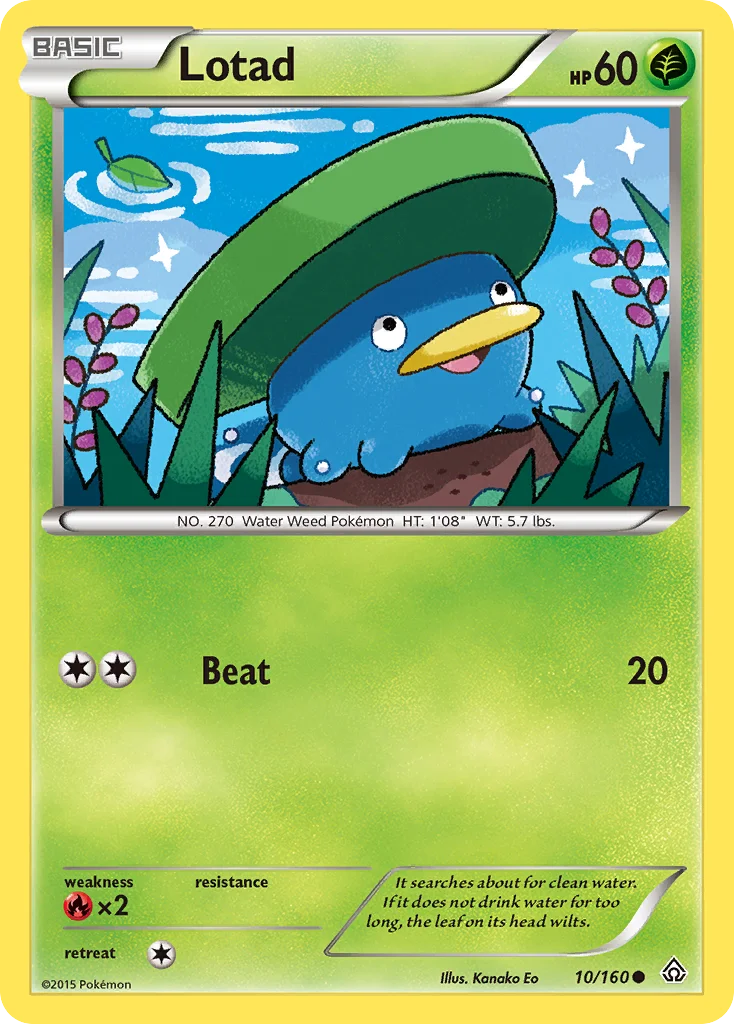 Lotad Pokemon card