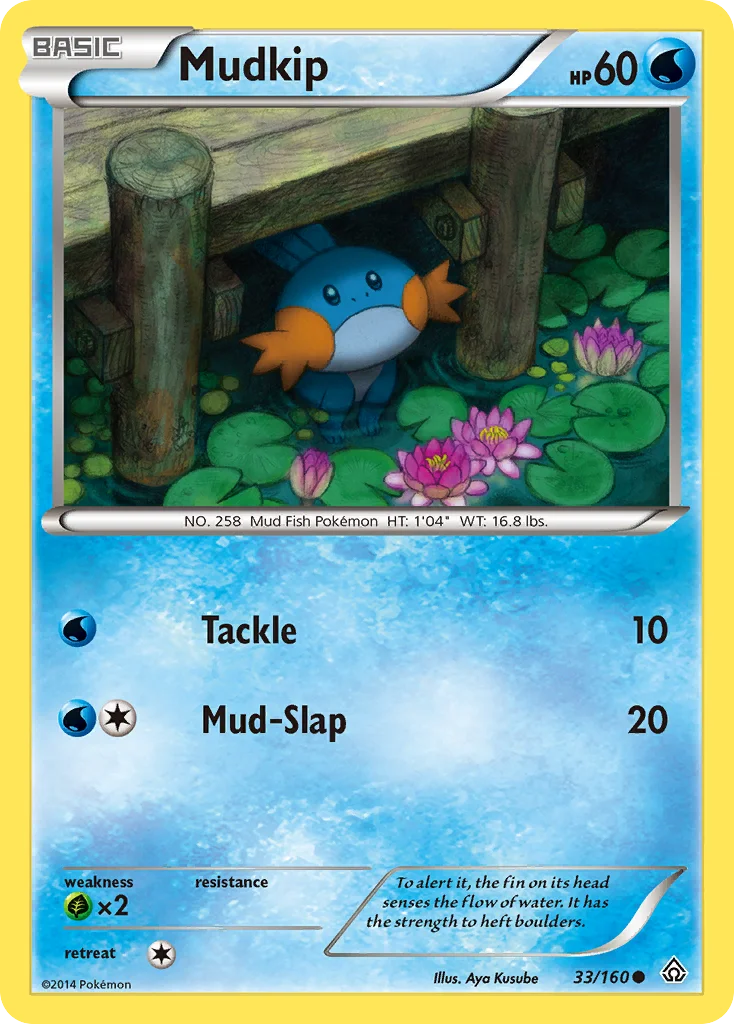Mudkip Pokemon card
