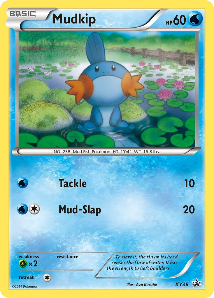 Mudkip Pokemon card