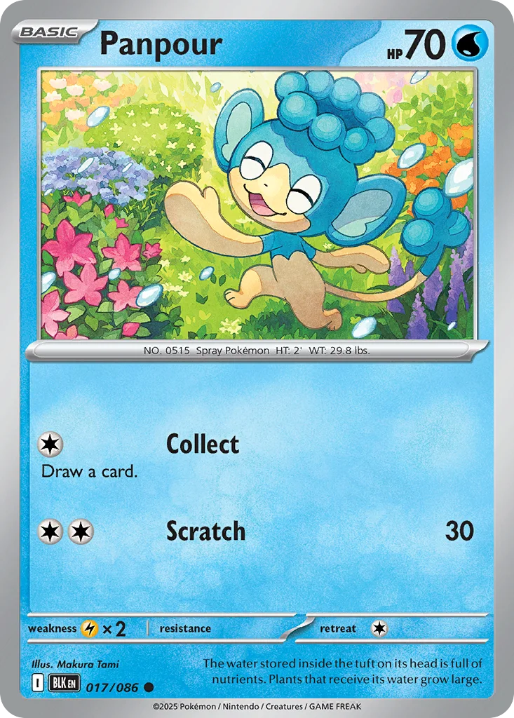 Panpour Pokemon card