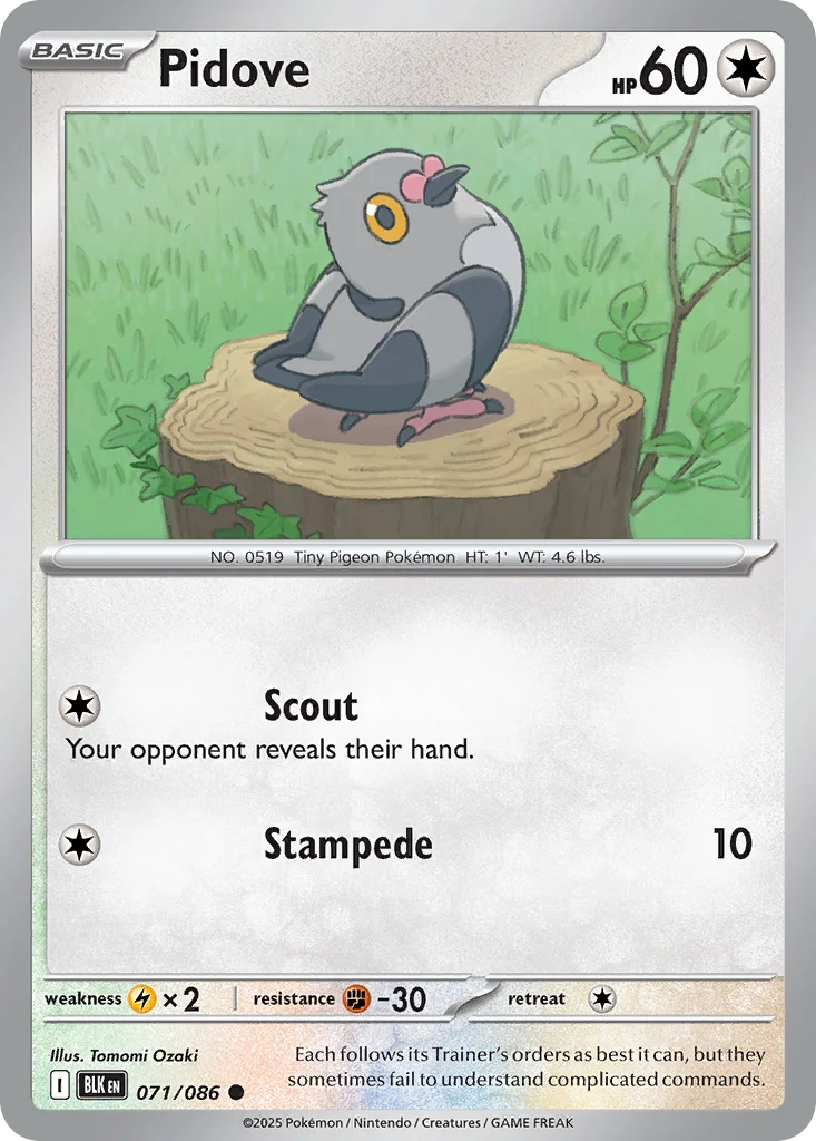 Pidove Pokemon card
