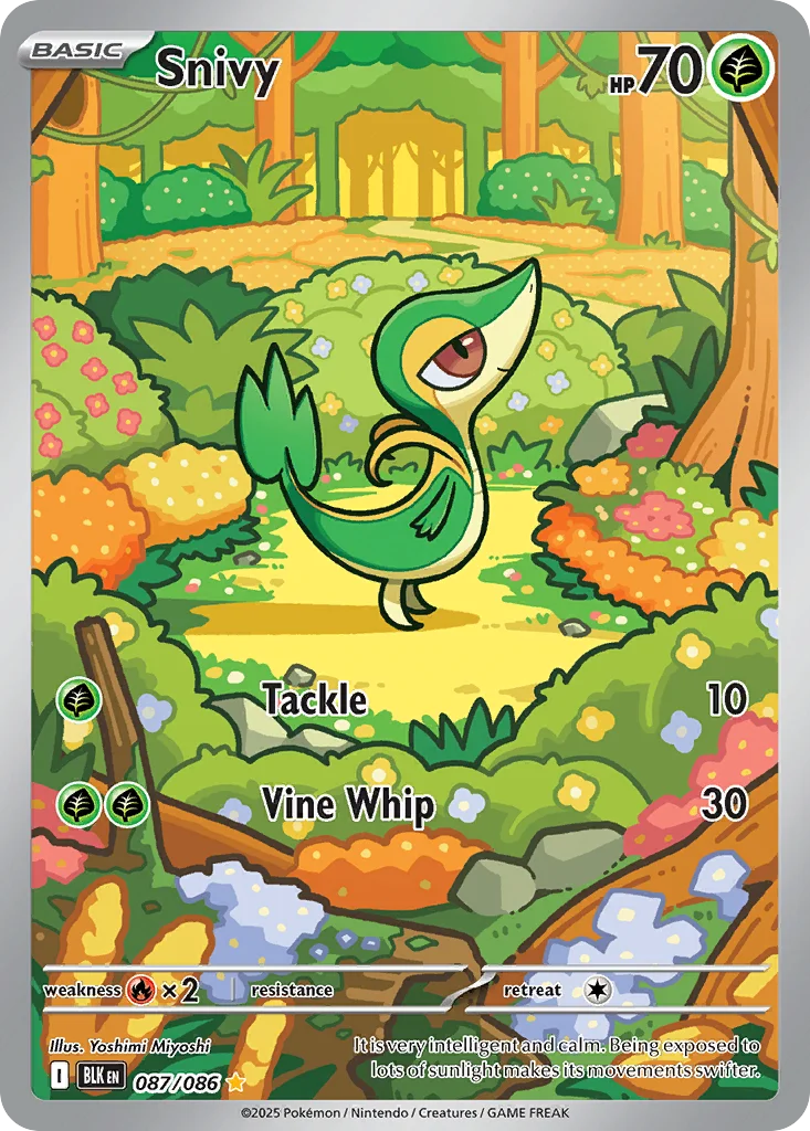 Snivy Pokemon card