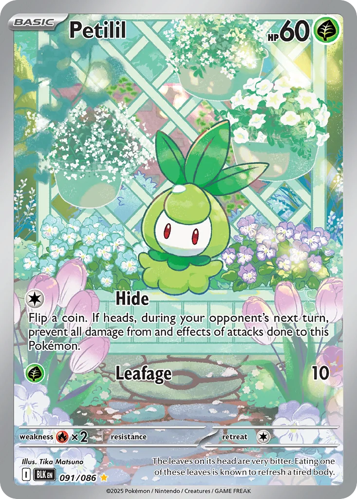 Petilil Pokemon card
