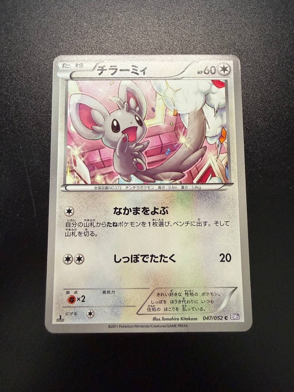 [1st Edition] Minccino